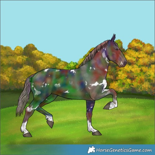 Horse Color:Nacre White Spotted Liver Chestnut Tobiano 