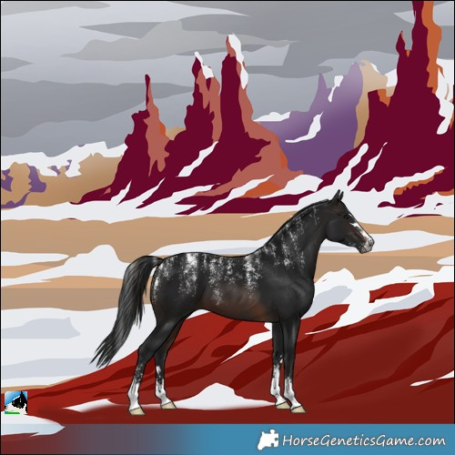 Horse Color:Powder White Gray Brown 