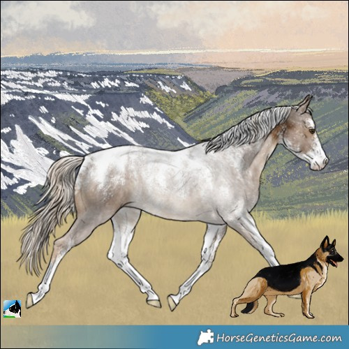 Horse Color:Powder White Chocolate Palomino 