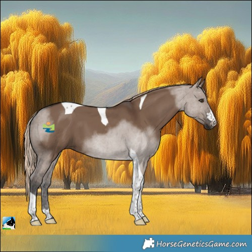 Horse Color:Liver Red Dun Tobiano