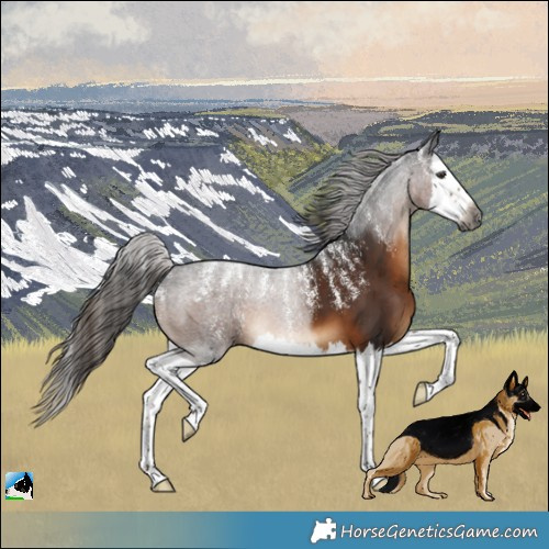 Horse Color:Powder White Gray Liver Chestnut Splash 