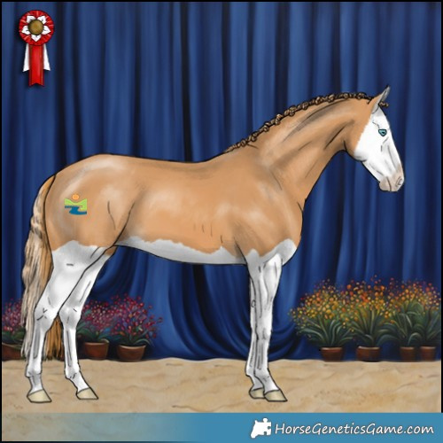 Horse Color:Chestnut Splash