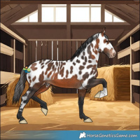 Horse Color:Bay Skewed LP Spotted 