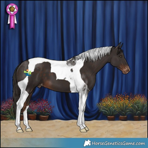 Horse Color:Liver Chestnut Tobiano Skewed LP Spotted