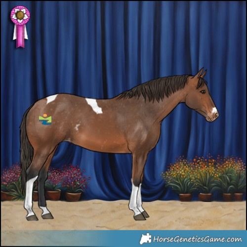 Horse Color:Bay Tobiano Skewed LP Spotted 