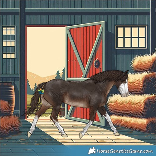 Horse Color:White Spotted Liver Chestnut