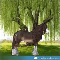 Horse Color:White Spotted Liver Chestnut 