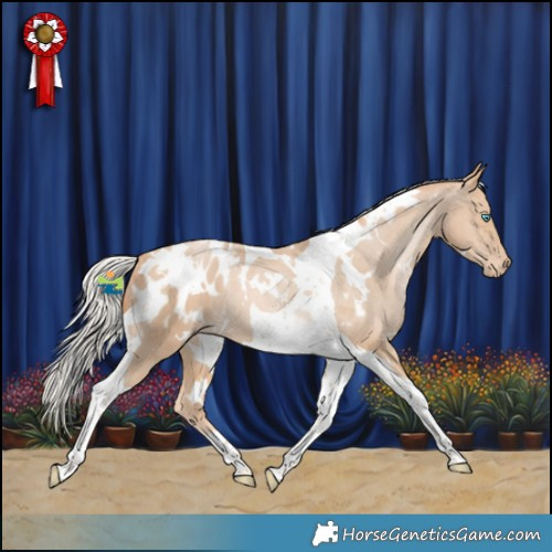 Horse Color:White Spotted Silver Smoky Black Pearl Tobiano Appaloosa 