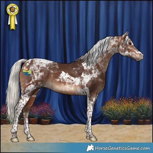 Horse Color:Silver Brown Tobiano