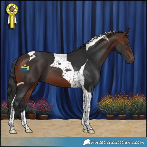 Horse Color:Bay Tobiano 