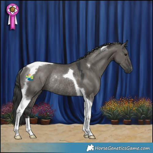 Horse Color:Grullo Mushroom Tobiano Rabicano