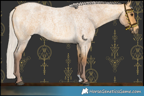 Horse Color:Chocolate Silver Buckskin Roan