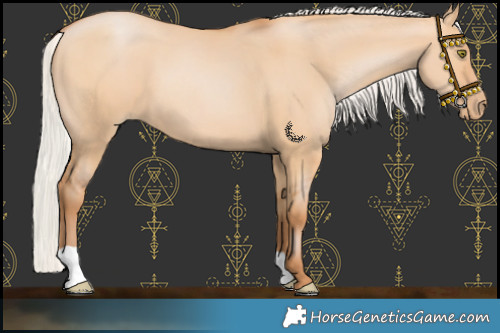 Horse Color:Silver Bay Pearl Dun