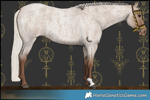 Horse Color:Silver Grullo Roan Varnish 