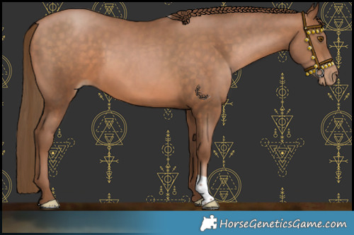 Horse Color:Brown Pearl 