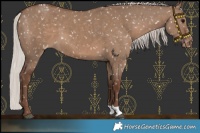 Horse Color:Silver Grullo Snowflake Varnish