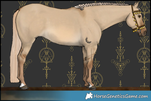 Horse Color:Chocolate Palomino Dun