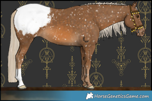 Horse Color:Chocolate Palomino Snowcap