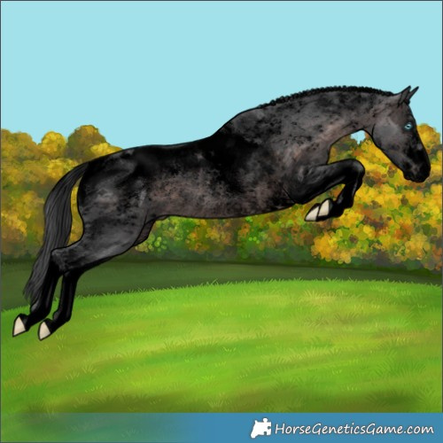 Horse Color:Powder White Void Platinum Brown Merle Tobiano Rabicano 