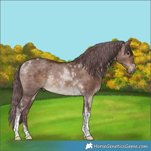 Horse Color:Chocolate Brown Dun Merle Tobiano Rabicano 