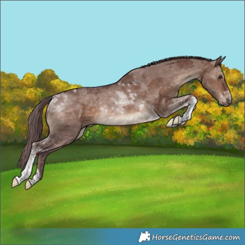 Horse Color:Chocolate Brown Dun Merle Tobiano Rabicano