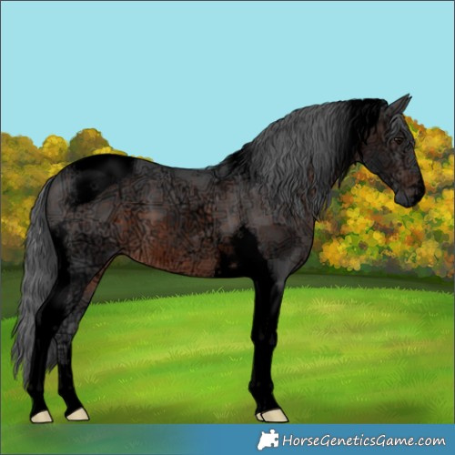 Horse Color:Void Brown Ice Merle Tobiano 