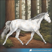 Horse Color:Palomino Near Leopard 