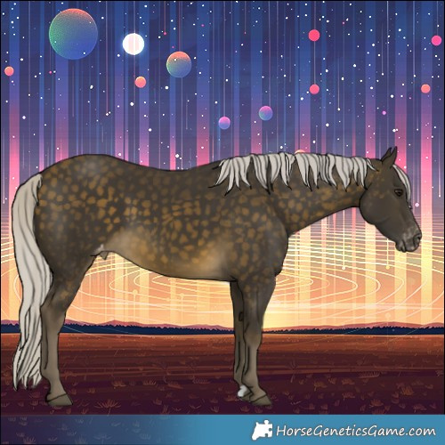 Horse Color:Silver Buckskin Varnish