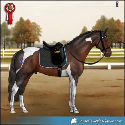 Horse Color:Liver Chestnut Tobiano