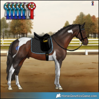 Horse Color:Liver Chestnut Tobiano 