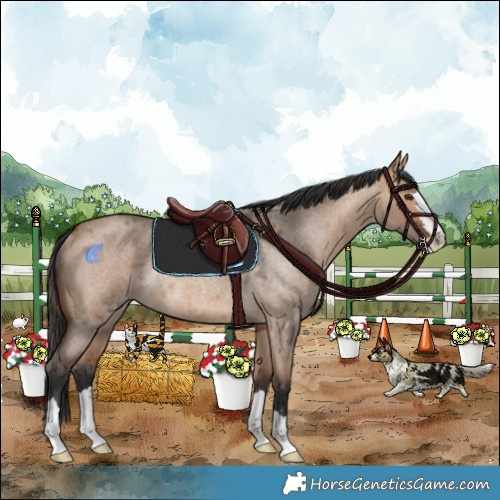 Horse Color:Bay Roan Dun Rabicano