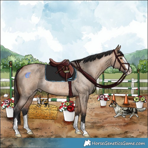 Horse Color:Bay Roan Dun Rabicano 