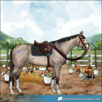 Horse Color:Bay Roan Dun Rabicano 