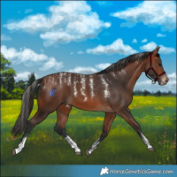 Horse Color:Powder White Bay 