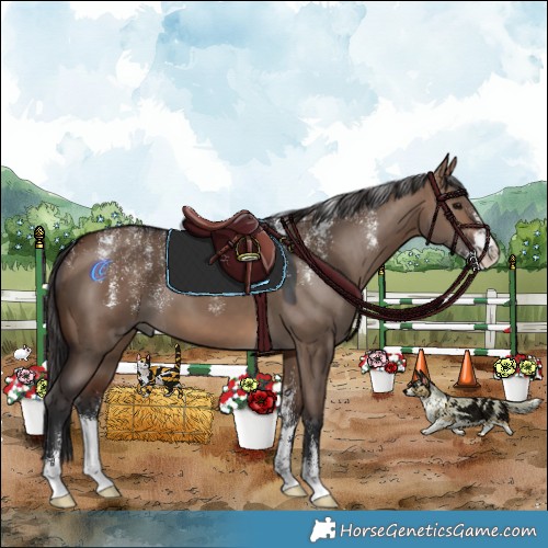Horse Color:Powder White Brown Dun 