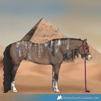 Horse Color:Powder White Brown Dun 
