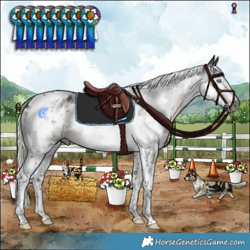Horse Color:Gray White Spotted Silver Smoky Black Splash Tobiano Appaloosa 