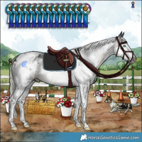 Horse Color:Gray White Spotted Silver Smoky Black Splash Tobiano Varnish 