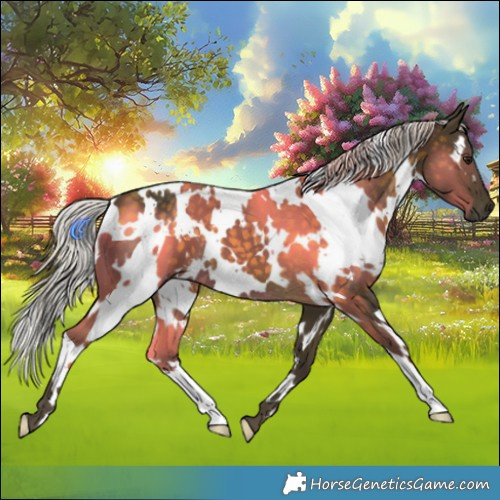 Horse Color:White Spotted Silver Buckskin