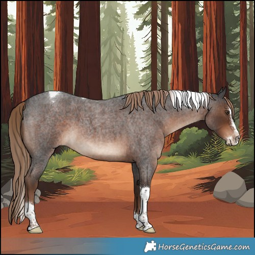 Horse Color:Liver Red Roan Splash Tobiano 