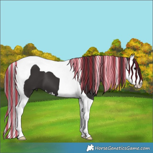 Horse Color:Painted Smoky Black Splash Tobiano 