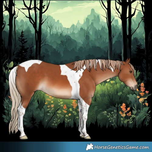 Horse Color:Chestnut Tobiano 