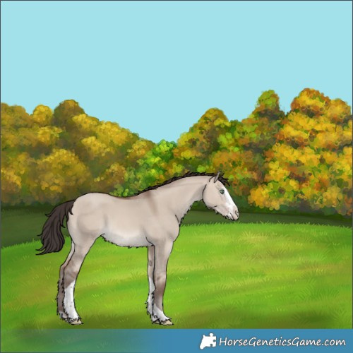 Horse Color:Sable Champagne Dun Sabino Splash Tobiano Rabicano 