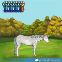 Horse Color:Platinum Liver Red Dun Mushroom Sabino Splash Rabicano 