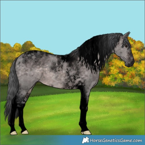 Horse Color:Void Platinum Brown Dun Merle Tobiano 