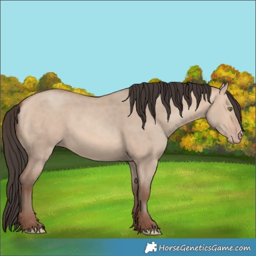 Horse Color:Amber Champagne Dun 