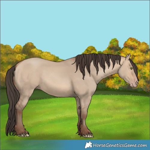 Horse Color:Amber Champagne Dun 