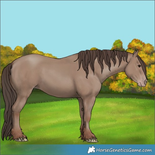 Horse Color:Classic Champagne 