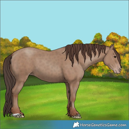 Horse Color:Classic Champagne 