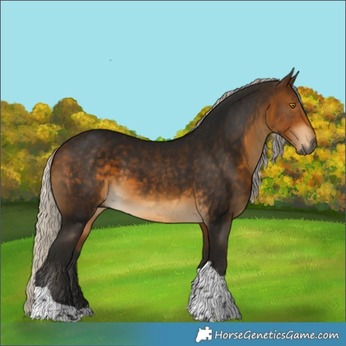 Horse Color:Gray Silver Buckskin Tobiano 